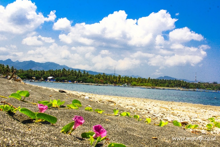 6 Tempat Wisata Di Kabupaten Lombok Utara